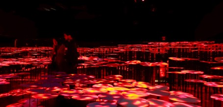 teamLab Borderless - musée d'art digital à Odaiba (Tokyo) 5