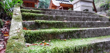 Echizen et sanctuaire Okamoto-jinja Otaki-jinja 10