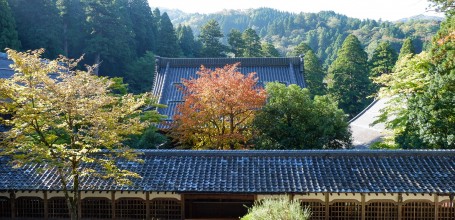 Eihei-ji (Fukui), Vue sur les toits du temple et la forêt en automne