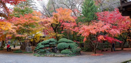 Érables rouges au temple Heirin-ji (Saitama)