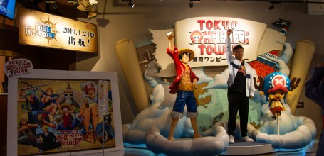 Tokyo One Piece Tower, Entrée