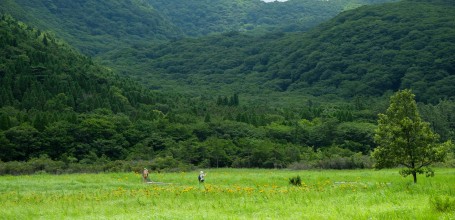 Marais de Tadewara, parc national Aso Kuju (Oita) 4