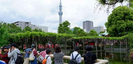 Vue sur Tokyo SkyTree depuis le sanctuaire Kameido Tenjin