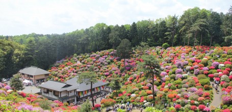 Vue sur le temple Shiofune Kannon-ji à Ome 