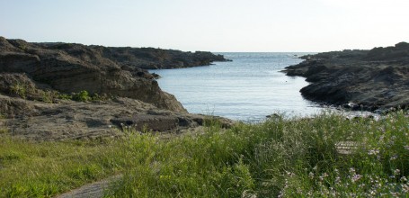 Jogashima, île au sud de la péninsule de Miura 2