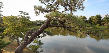 Jardin Yosui-en à Wakayama 5