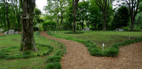 Jardin botanique Akatsuka, pelouse et zelkova (Narimasu, Tokyo)