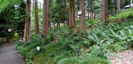 Jardin botanique Akatsuka (Narimasu, Tokyo)