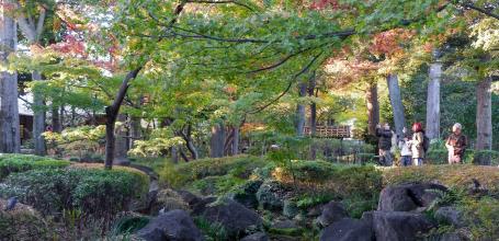 Parc Otaguro (Tokyo), cours d'eau et érables du jardin japonais en automne
