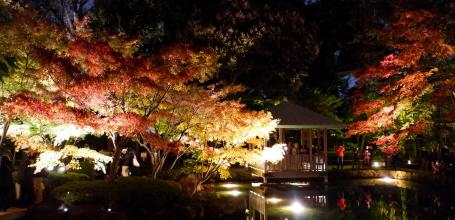 Parc Otaguro (Tokyo), vue de nuit et en automne sur le plan d'eau du jardin japonais 2