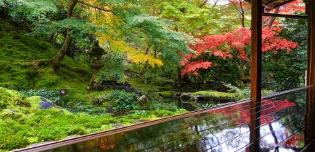 Ruriko-in, jardin Garyo-no-niwa en automne