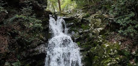 Parc Settsukyo (Osaka), cascade Shirataki