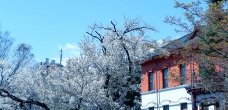 Jardin botanique de Koishikawa (Tokyo), jardin japonais avec vue sur l'annexe du musée universitaire