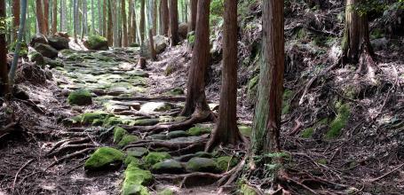 Kumano (Mie), col de Matsumoto-toge sur la route de Kumano Kodo Iseji 2