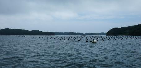 Ama de la préfecture de Mie, tour en bateau avec une plongeuse et son activité de pêche au large du port de Wagu (Shima) 2