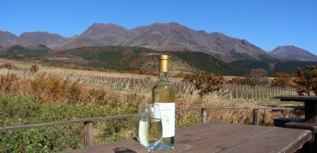 Monts Kuju (Taketa, Oita), domaine viticole 2