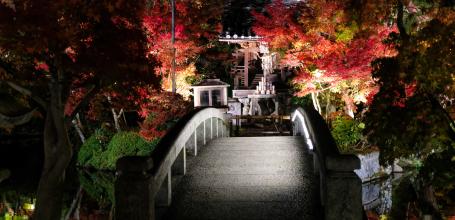 Eikan-do (Kyoto), illuminations nocturnes du temple en période de Momiji 3