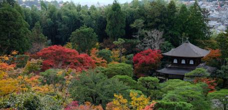 Ginkaku-ji, Vue sur le temple et le nord de Kyoto depuis les hauteurs en automne