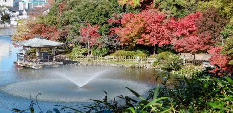 Takaoka (Toyama), parc du château et érables rouges en automne