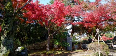 Takaoka (Toyama), parc du château et érables rouges en automne 2