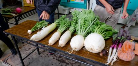 Uosaburo (Fushimi), légumes japonais produits par la ferme Yamada non loin