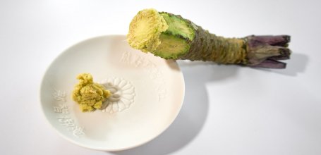 Racine et pâte verte de véritable Wasabi japonais