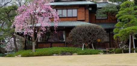 Happo-en (Tokyo), cerisiers en fleurs et architecture traditionnelle du restaurant Kochuan