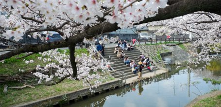 Shingashi-gawa (Kawagoe), passagers en attente pour la croisière en bateau sur la rivière pendant la floraison des sakura