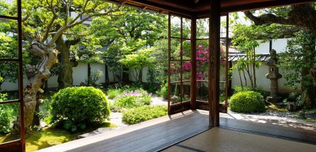 Musée Mémorial Lafcadio Hearn (Matsue), vue sur le jardin japonais au printemps depuis la résidence de samourai