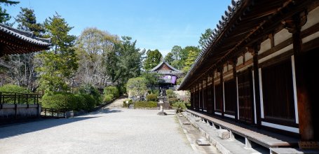 Toshodai-ji (Nara), vue sur le pavillon Kaizando dédié au fondateur du temple Ganjin