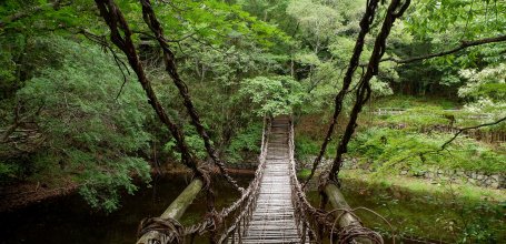 Shikoku Mura (Takamatsu), Pont de liane Kazurabashi