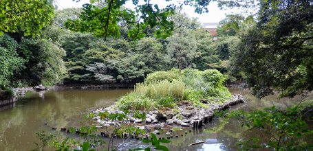 Todai (Tokyo), plan d'eau Sanshiro en été