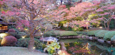 Shirokanedai (Tokyo), jardin sous les koyo à l'automne du musée d'Art métropolitain Teien de Tokyo