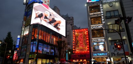 Chat 3D géant de Shinjuku sur le dos à la tombée de la nuit