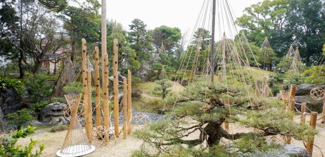 Nagahama Bonbaiten (lac Biwa), jardin japonais de l'ancienne demeure Keiunkan 3
