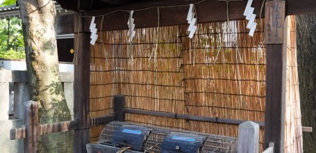 Komagome Tenso-jinja (Tokyo), Pavillon des ablutions