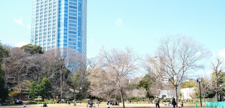 Parc Shiba (Tokyo), grandes pelouses à la fin de l'hiver et vue sur l'hôtel The Prince Park Tower Tokyo