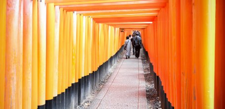 Fushimi Inari Taisha à Kyoto, Tunnel de portes torii en hiver