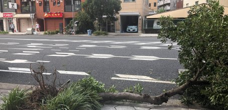 Osaka après le passage du typhon Jebi en 2018 (3)