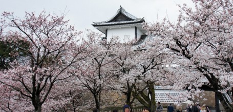 Château de Kanazawa