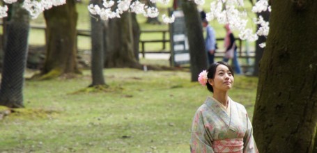 Parc de Nara, Femme en kimono sous les cerisiers en fleurs au Todai-ji