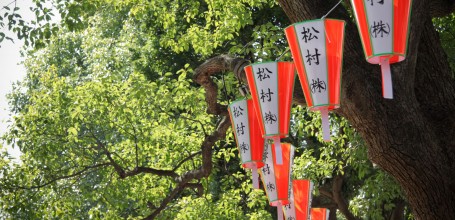 Parc de Ueno, lanternes et cerisiers verts en été