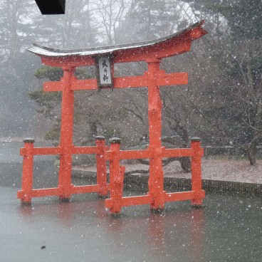 Brooklyn Botanic Garden 02