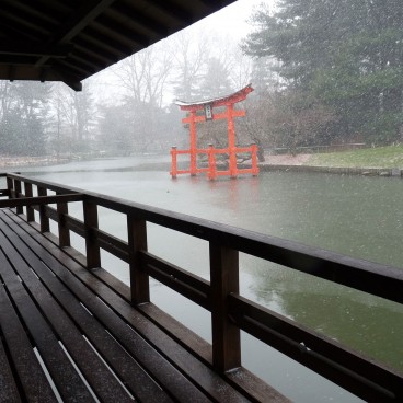 Brooklyn Botanic Garden 05