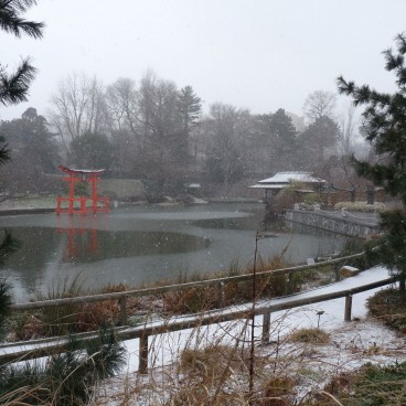 Brooklyn Botanic Garden 08