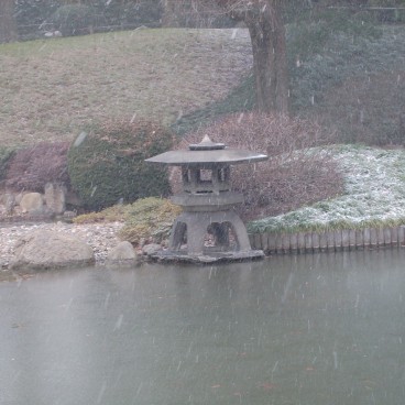 Brooklyn Botanic Garden 11