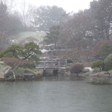 Brooklyn Botanic Garden 16