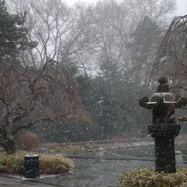 Brooklyn Botanic Garden 17