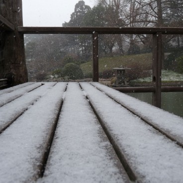 Brooklyn Botanic Garden 22