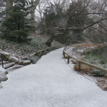 Brooklyn Botanic Garden 26